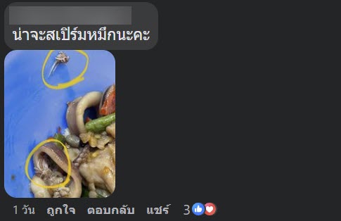 สิ่งแปลกปลอมในหมึก