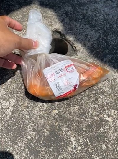 กุ้งเปลี่ยนสี