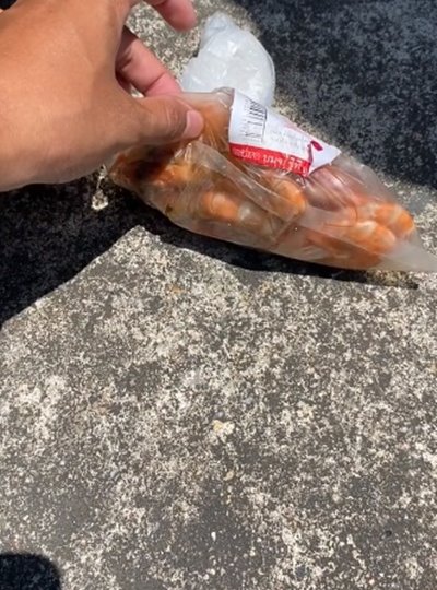 กุ้งเปลี่ยนสี