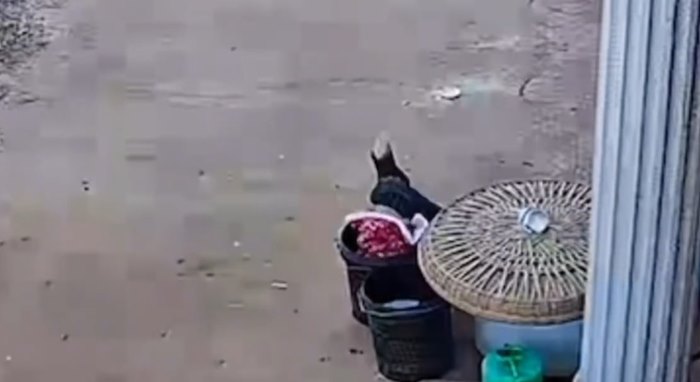 เด็กจมน้ำในถัง