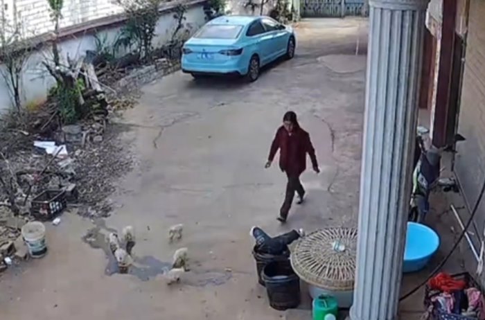 เด็กจมน้ำในถัง