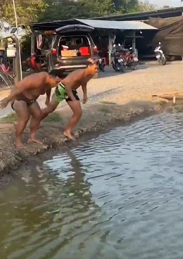 ดำน้ำเหมือนฮิปโป