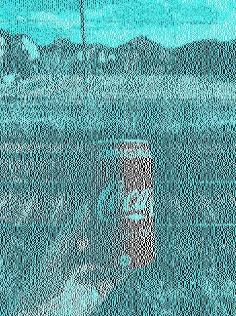 ภาพหลอกตา