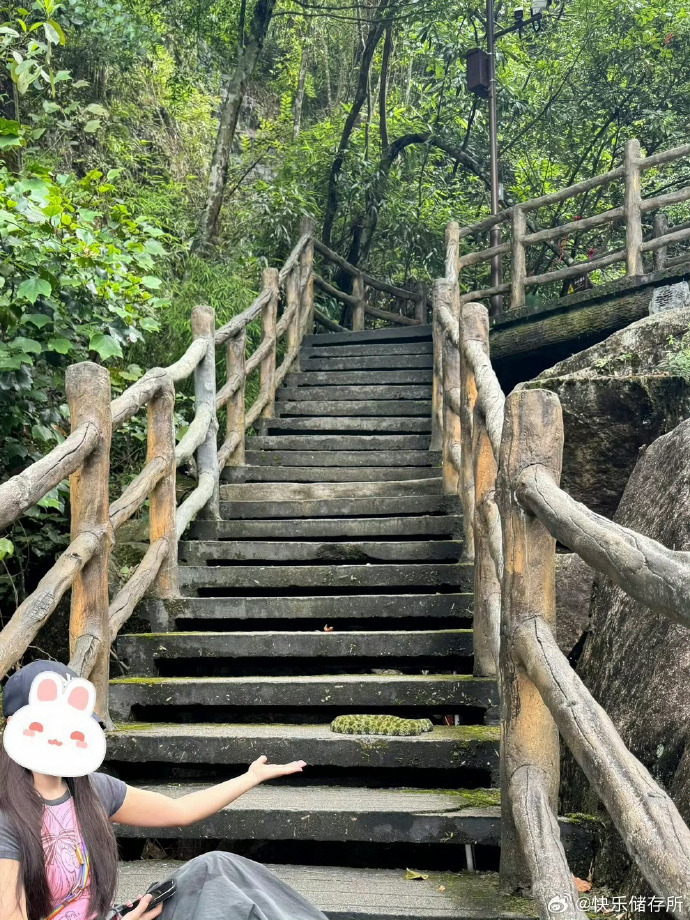 งูหัวเหล็กหม่างซาน