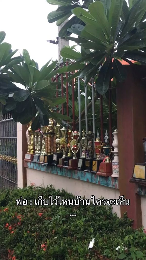 อวดถ้วยรางวัลที่รั้ว