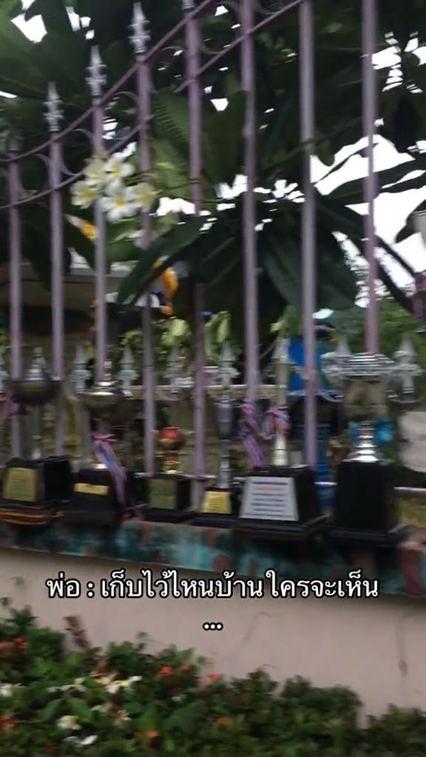 อวดถ้วยรางวัลที่รั้ว