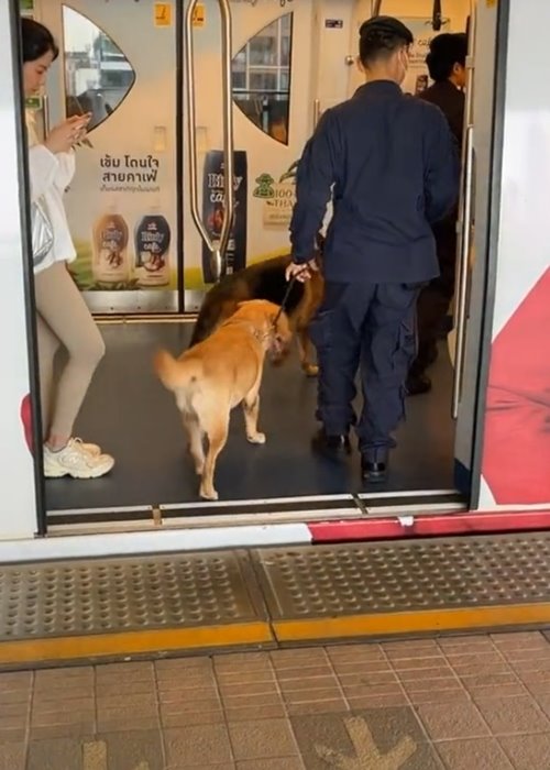 สุนัขตำรวจ