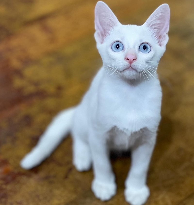 สรยุทธ สุทัศนะจินดา