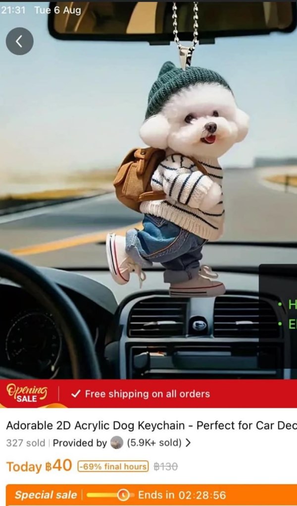 รีวิว Temu