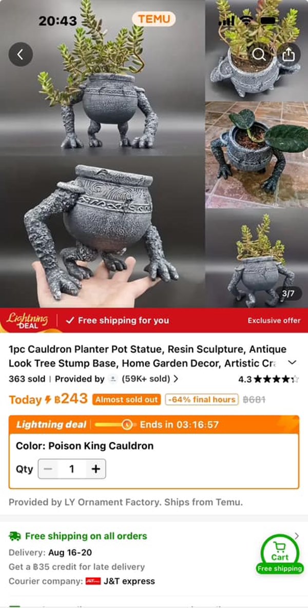 รีวิว Temu