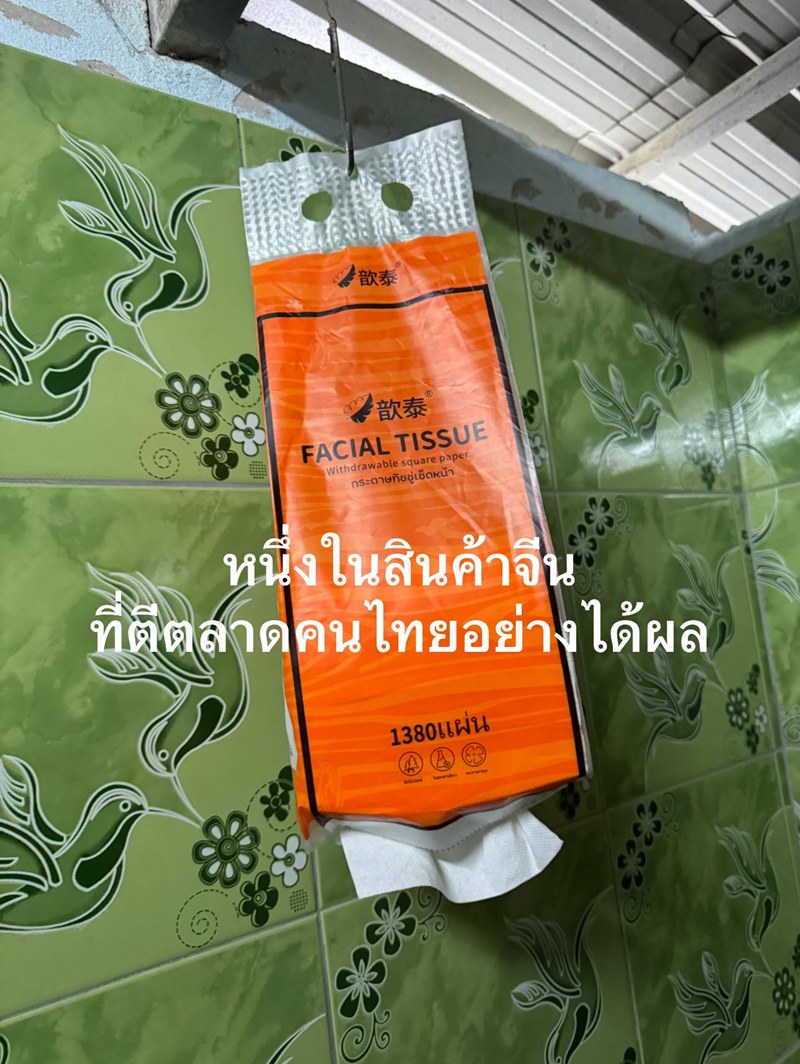 ทิชชูจีน