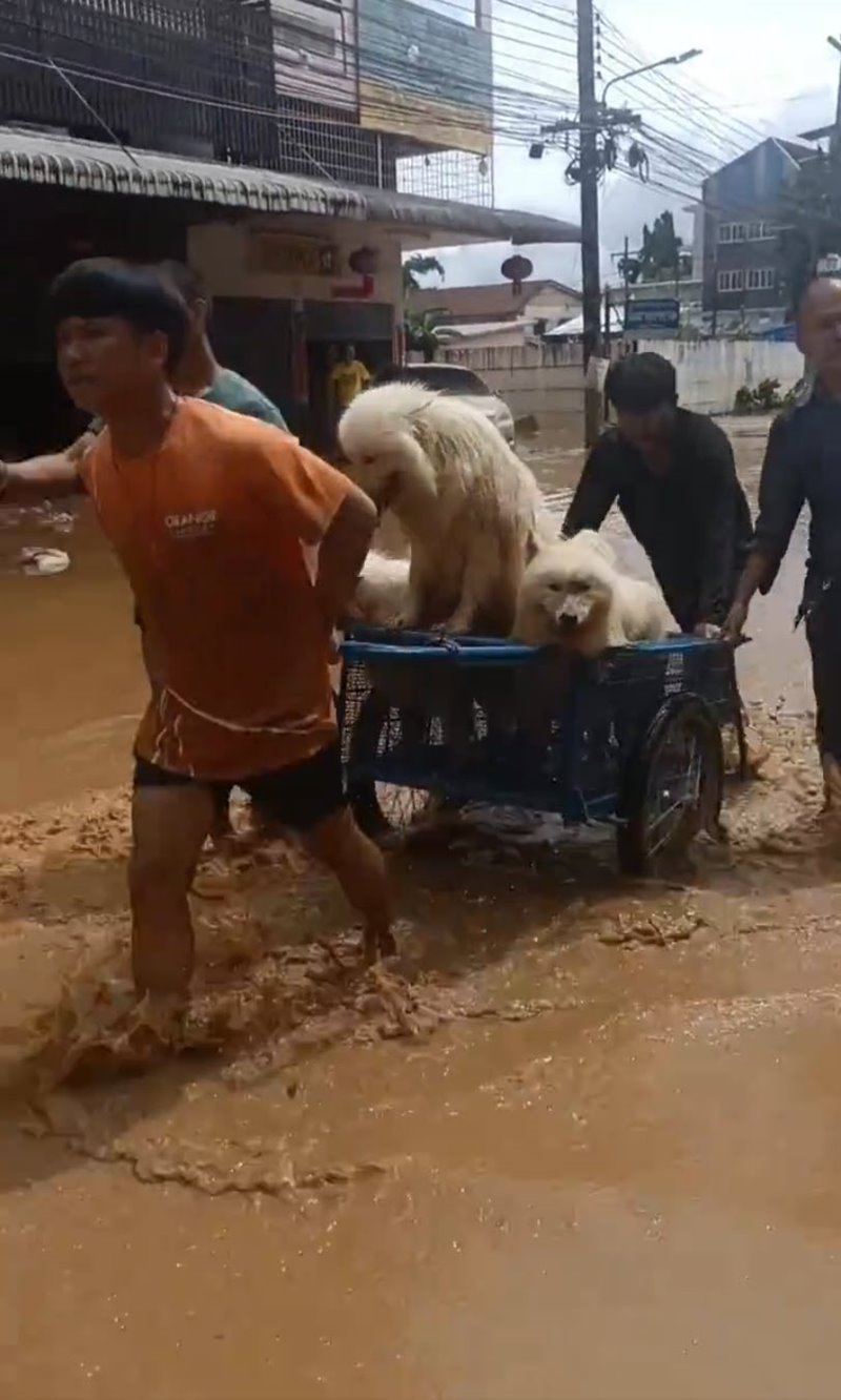 คนเมียนมาช่วยคนไทย