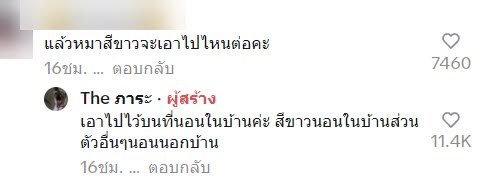 ไวรัล ส่งพัสดุให้หมาสีขาว