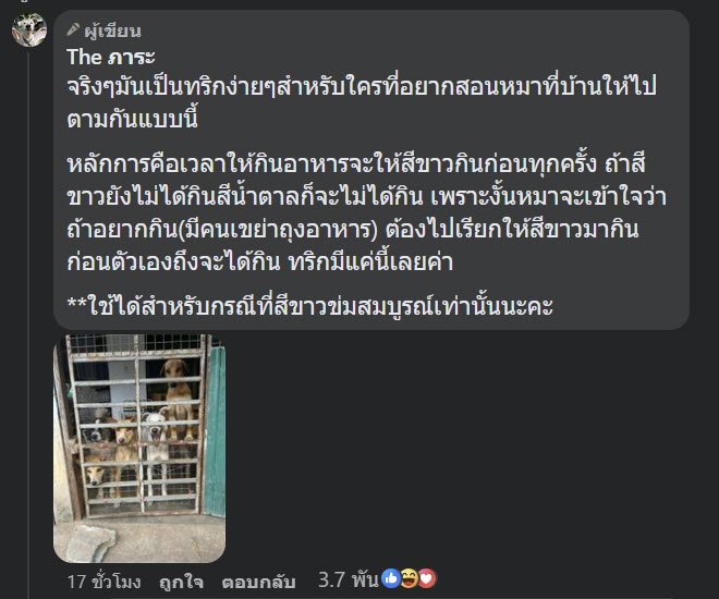 ไวรัล ส่งพัสดุให้หมาสีขาว