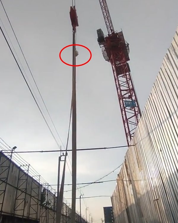 ไรเดอร์ส่งอาหาร เจอลูกค้าอยู่บนเครน ส่งยังไง