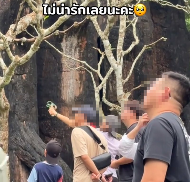 นักท่องเที่ยวยิงหนังสติ๊กใส่นกสวนสัตว์เปิดเขาเขียว คนแห่จวกยับ