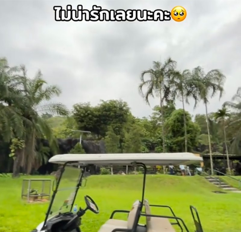 นักท่องเที่ยวยิงหนังสติ๊กใส่นกสวนสัตว์เปิดเขาเขียว คนแห่จวกยับ