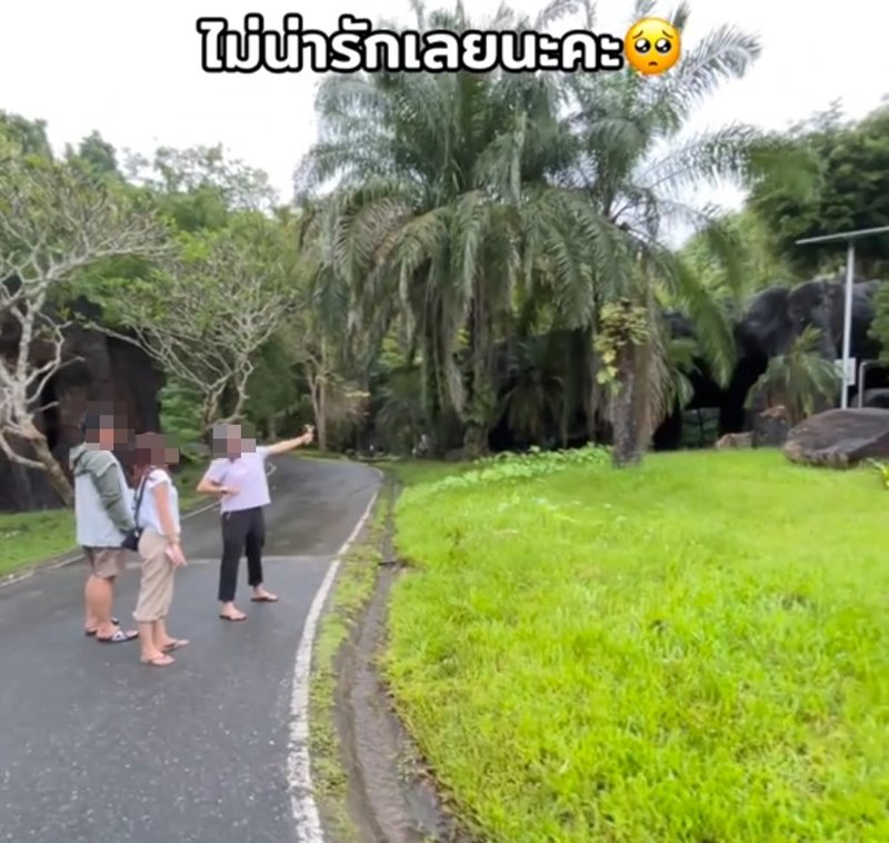 นักท่องเที่ยวยิงหนังสติ๊กใส่นกสวนสัตว์เปิดเขาเขียว คนแห่จวกยับ