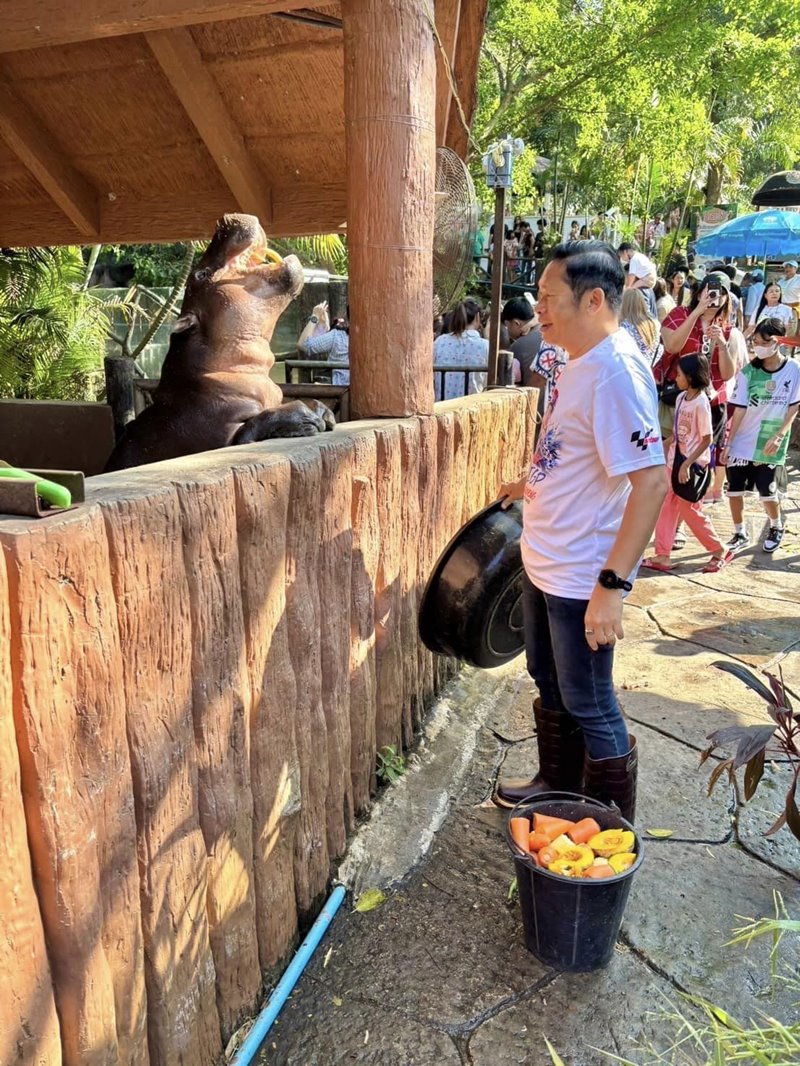 ผอ.สวนสัตว์เปิดเขาเขียว ล้างบ่อฮิปโปแทนคุณเบนซ์ ดูหมูเด้งสิ