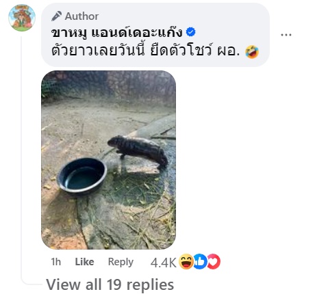 ผอ.สวนสัตว์เปิดเขาเขียว ล้างบ่อฮิปโปแทนคุณเบนซ์ ดูหมูเด้งสิ