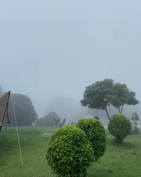 ไร่รวยริน วังน้ำเขียว ประกาศปิดกิจการ