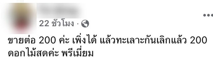 สาวโพสต์ขายดอกไม้ วันวาเลนไทน์ ราคา 200 พร้อมเหตุผลชวนพีค