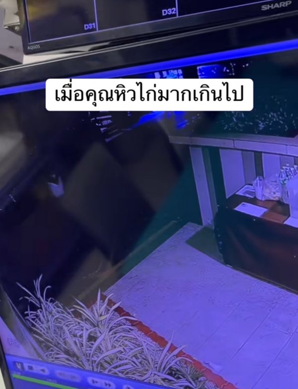 สั่งไก่ทอดผ่านแอปฯ ดัง ส่งใต้คอนโด แต่ไก่กลับหาย