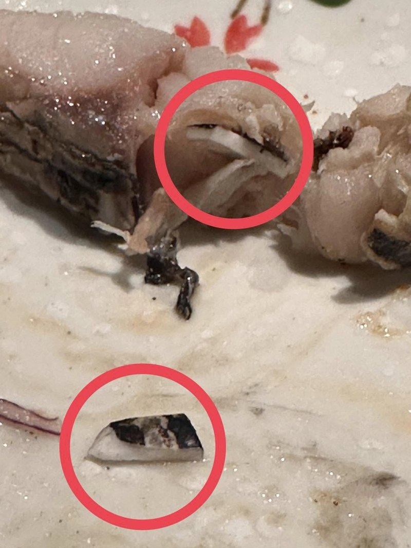 ลูกค้าโวย สั่งซาบะร้านอิซากายะดังเชียงใหม่ มีเซรามิกในเนื้อ ทำฟันแตก