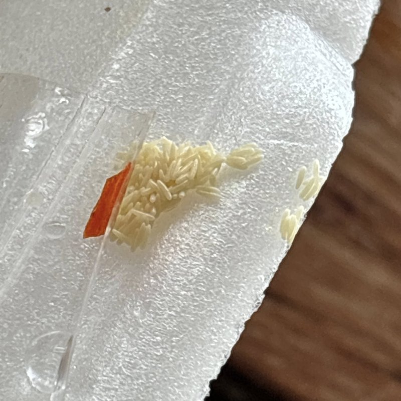 กินข้าวผัดกะเพราตามสั่งไปครึ่งกล่อง เจออะไรแปลกๆ ชาวเน็ตเห็นแทบพุ่ง