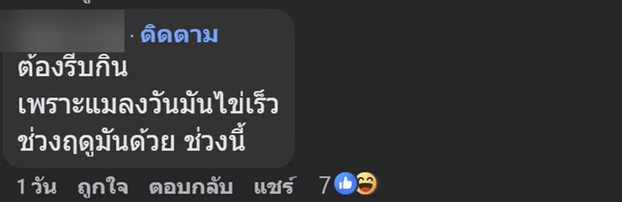 กินข้าวผัดกะเพราตามสั่งไปครึ่งกล่อง เจออะไรแปลกๆ ชาวเน็ตเห็นแทบพุ่ง