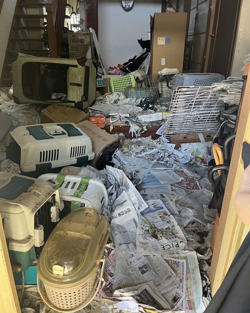 บ้านคนดูแลสัตว์สภาพเหมือนนรก ทำแมวตายเป็นร้อย