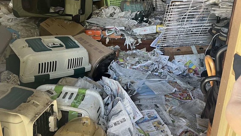 บ้านคนดูแลสัตว์สภาพเหมือนนรก ทำแมวตายเป็นร้อย