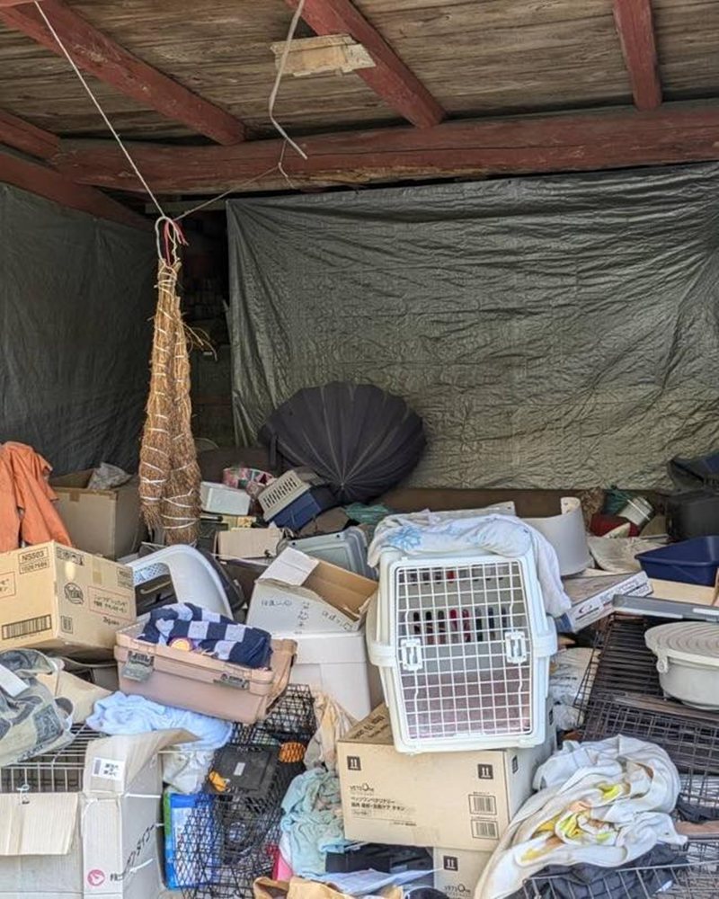 บ้านคนดูแลสัตว์สภาพเหมือนนรก ทำแมวตายเป็นร้อย