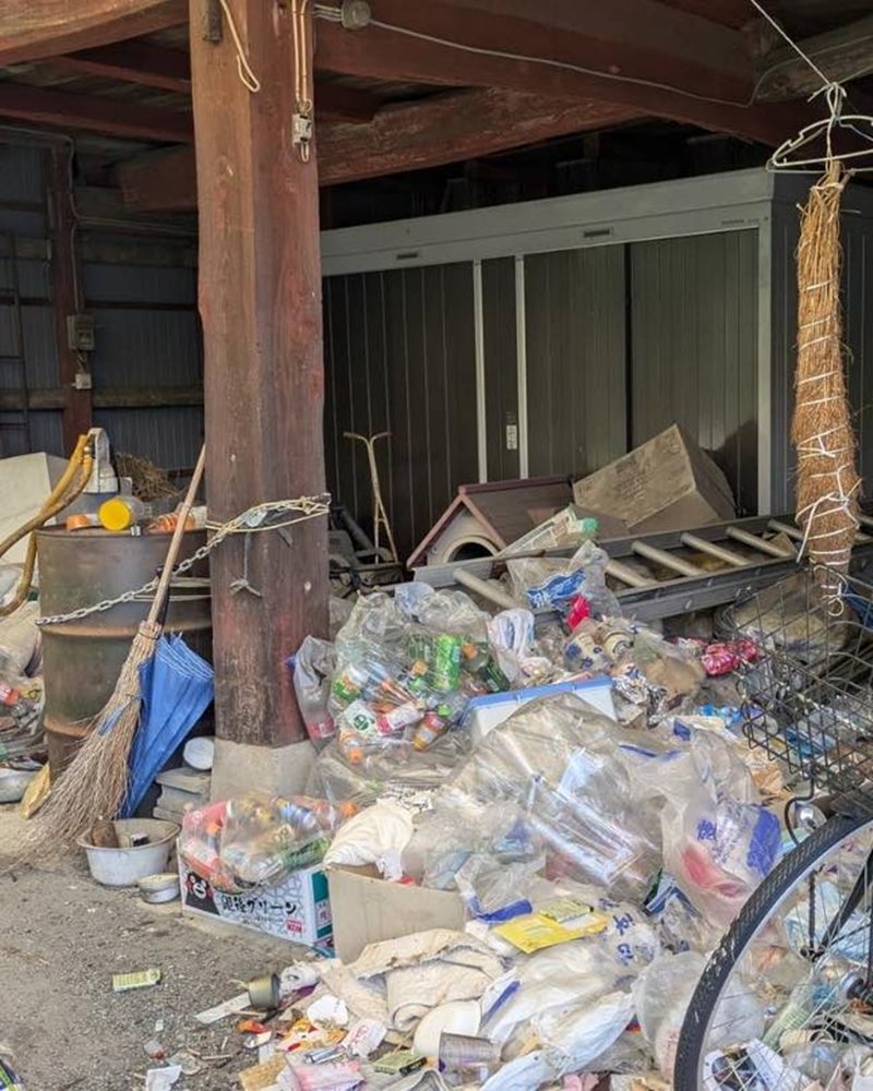 บ้านคนดูแลสัตว์สภาพเหมือนนรก ทำแมวตายเป็นร้อย