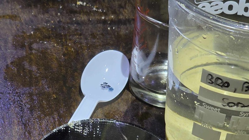 มังกรทะเลสีน้ำเงิน โผล่หาดกะรน หลังหายไป 2 ปี เตือนมีพิษ