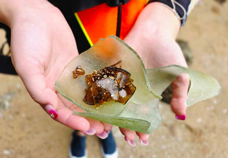 มังกรทะเลสีน้ำเงิน โผล่หาดกะรน หลังหายไป 2 ปี เตือนมีพิษ