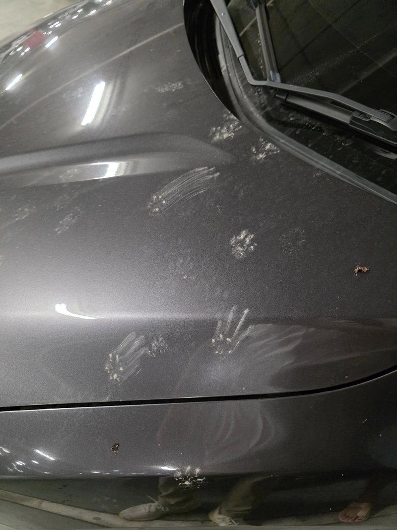 รอยเท้าปริศนาที่กระโปรงรถ ฝีมือตัวอะไร ชาวเน็ตแห่เฉลยสุดฮา