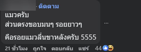 รอยเท้าปริศนาที่กระโปรงรถ ฝีมือตัวอะไร ชาวเน็ตแห่เฉลยสุดฮา