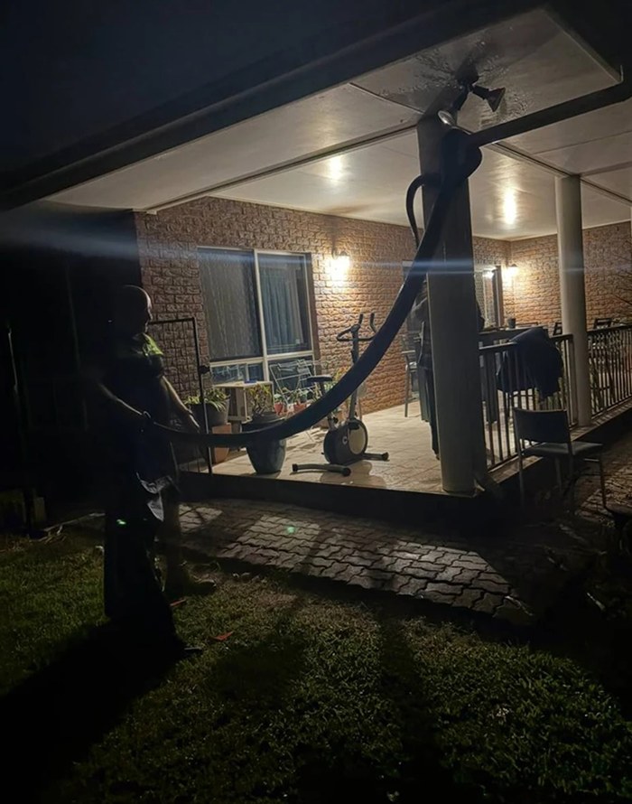 งูยักษ์เข้าบ้านกลางดึก ยาว 5 เมตร หนัก 26 กก. ใหญ่จนเรียกไดโนเสาร์ 