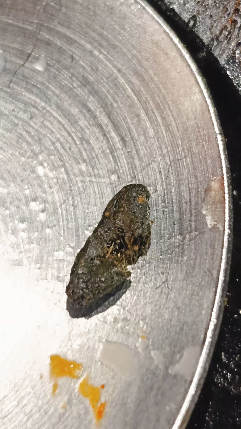 สั่งแซลมอนดองร้านดัง เจอก้อนสีดำ พนักงานบอกเป็นเครื่องเทศ ใช่หรือ