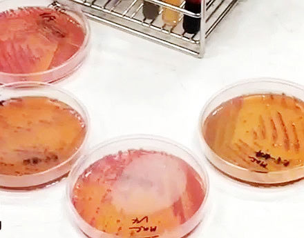 อึ้ง ! เผยผลตรวจน้ำส้มคั้นบรรจุขวด ไม่ผ่านเกณฑ์มาตรฐานทุกตัวอย่าง