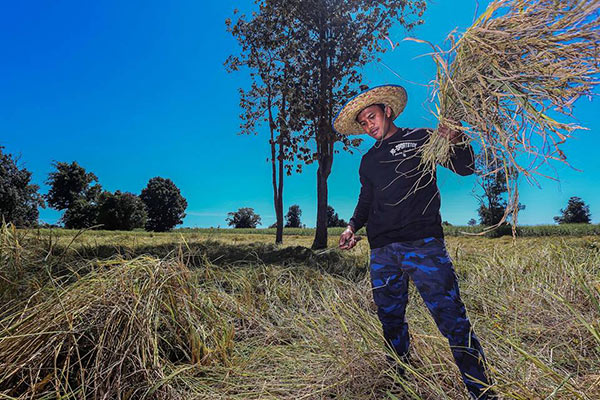 บัวขาว บัญชาเมฆ