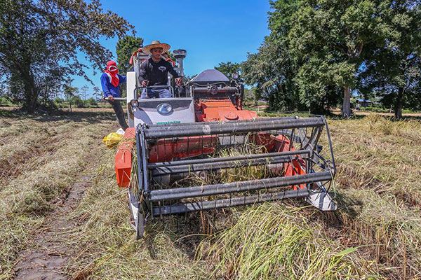 บัวขาว บัญชาเมฆ