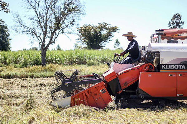 บัวขาว บัญชาเมฆ