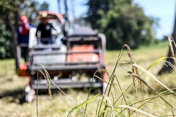 บัวขาว บัญชาเมฆ