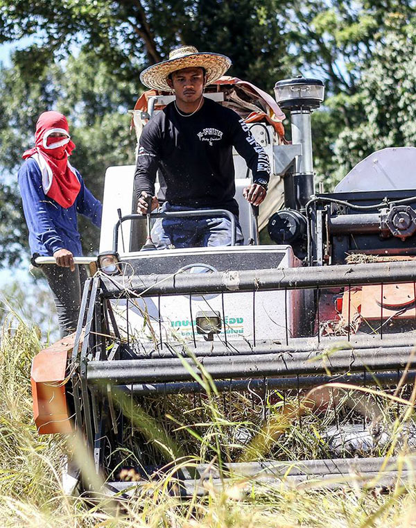 บัวขาว บัญชาเมฆ