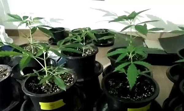 รวบ บิ๊กพี นักร้องวงไทยคูน