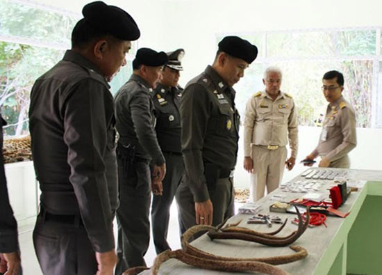 รอง ผบ.ตร. ลงพื้นที่ตรวจของกลางวัดป่าหลวงตาบัว เร่งสืบคดีเสือหาย 3 ตัว 