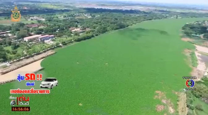 สุดรก ! สั่งกำจัดผักตบชวาลอยเต็มเขื่อนเจ้าพระยา กินพื้นที่ลากยาวกว่า 6 กิโลเมตร