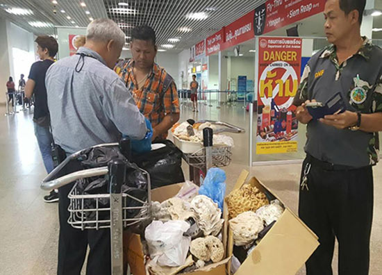  ยึดหอยมือเสือ-ปะการัง คาสนามบินกระบี่ เหตุนักท่องเที่ยวแอบลักลอบขึ้นเครื่อง